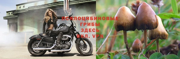 стафф Волосово