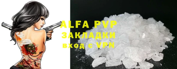 индика Верхний Тагил