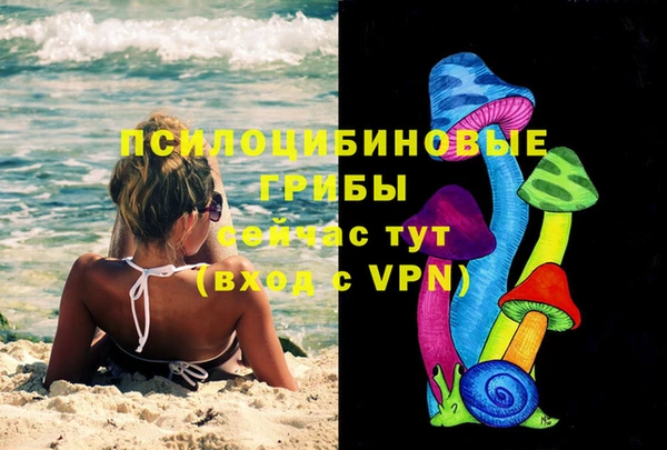 стафф Волосово