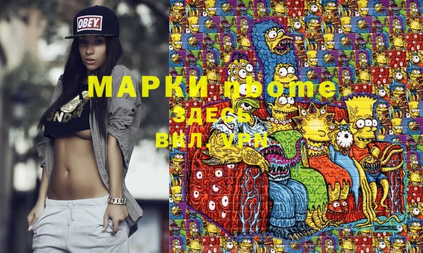 индика Верхний Тагил