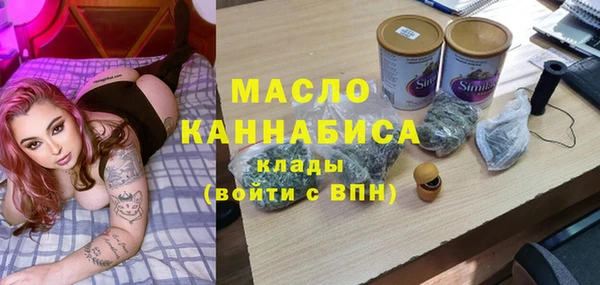 индика Верхний Тагил