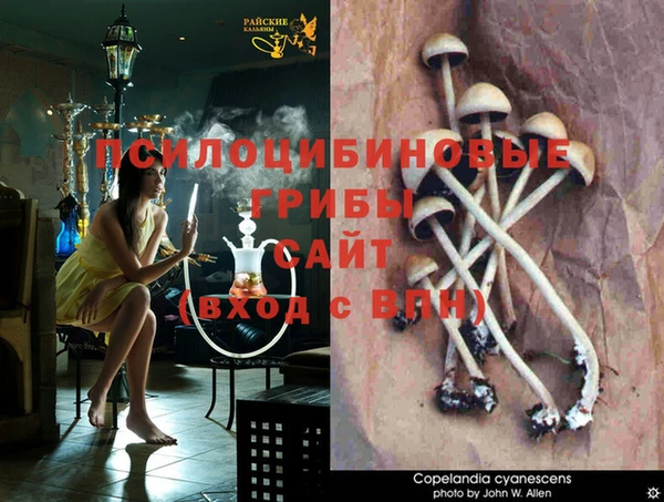 гашишное масло Верея