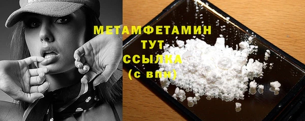 индика Верхний Тагил