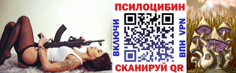 Галлюциногенные грибы Cubensis  Красногорск 
